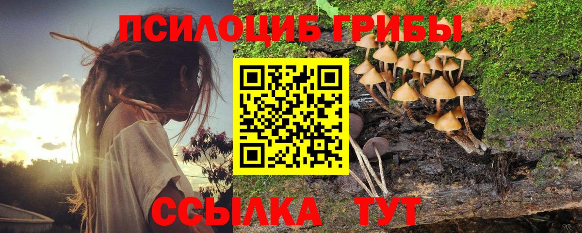 Галлюциногенные грибы мухоморы Соль-Илецк