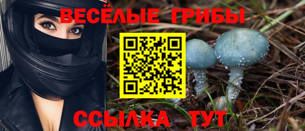 Псилоцибиновые грибы GOLDEN TEACHER  Вход с VPN  Соль-Илецк 